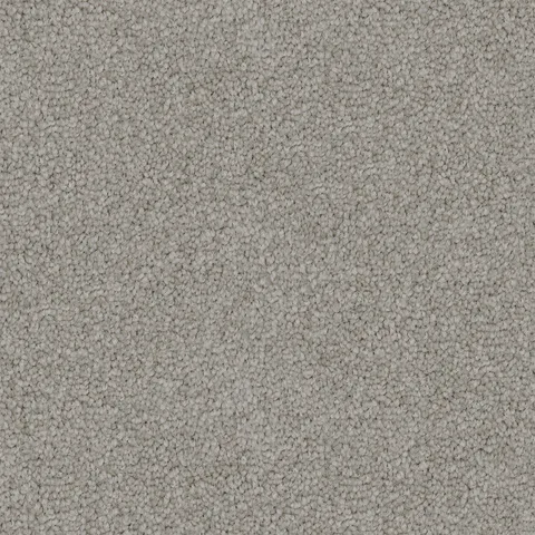 Shoreline carpet swatch